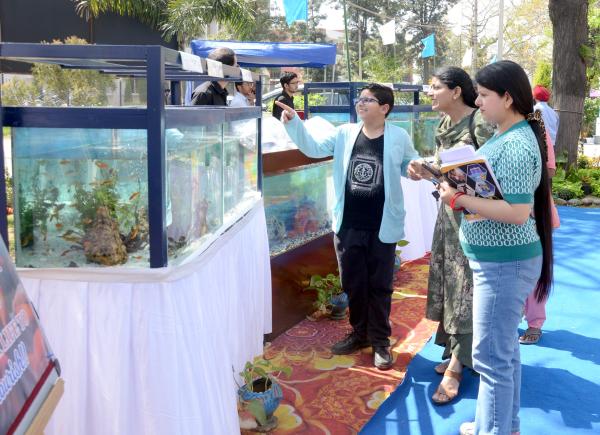 Visitors witnessing different displays